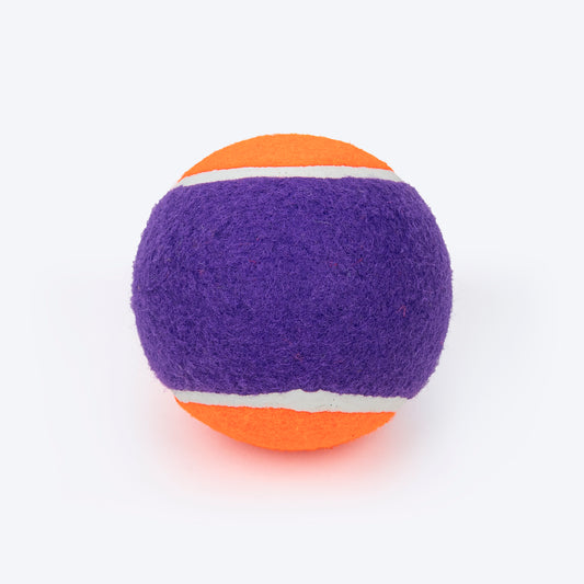 HUFT Fetch Play Pack Tennis Ball For Dog - Orange & Purple - Heads Up For Tails