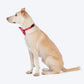 HUFT Bandhani Breeze Bowtie With Strap For Dog - Red