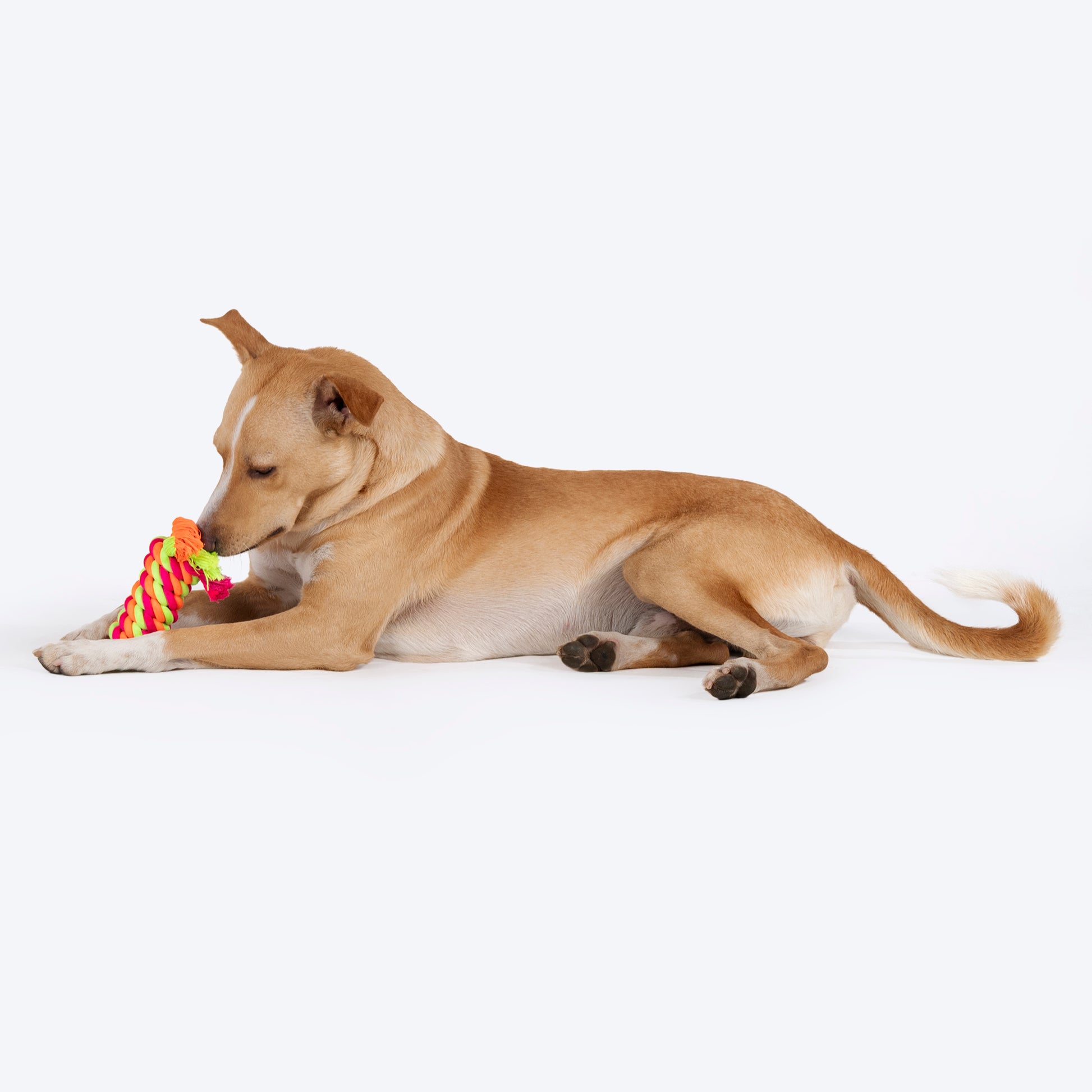 HUFT Tuggables Rope Toy For Dog - Multicolor - Heads Up For Tails