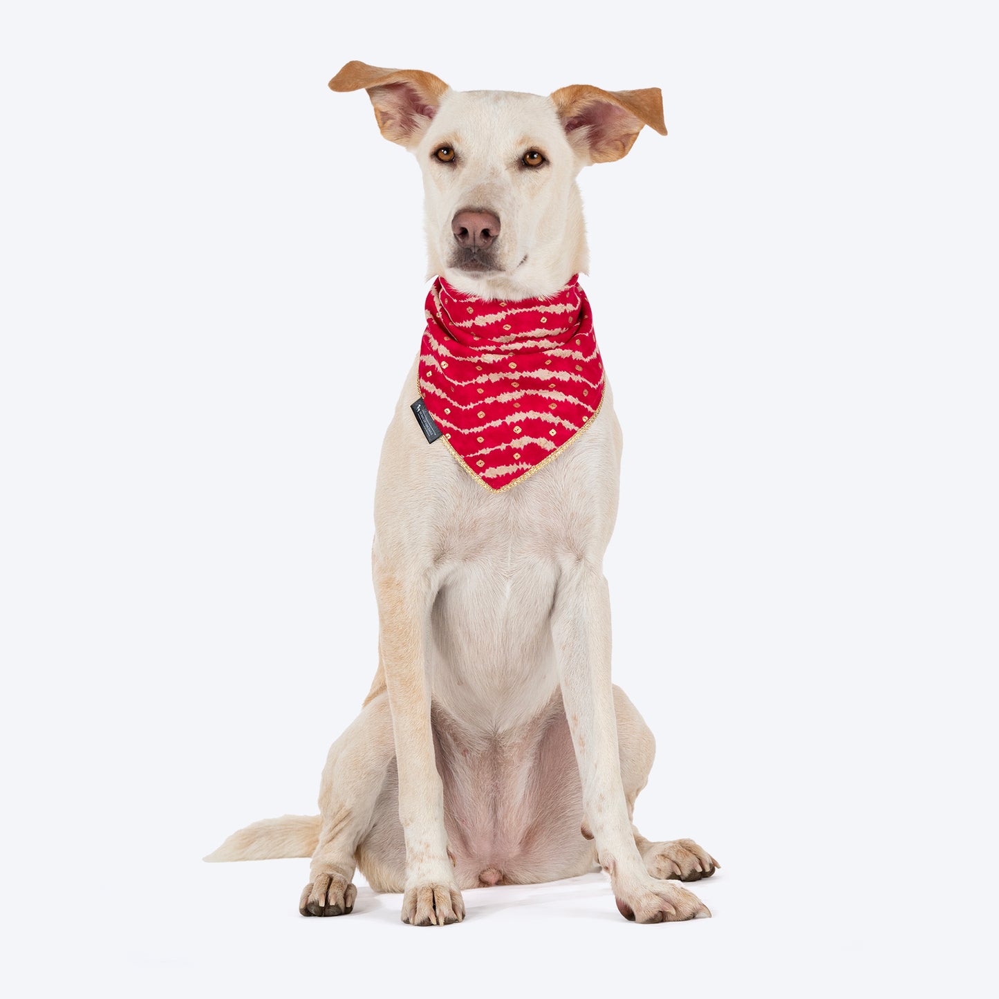 HUFT Leheriya Luxe Knot Bandana For Dog - Pink