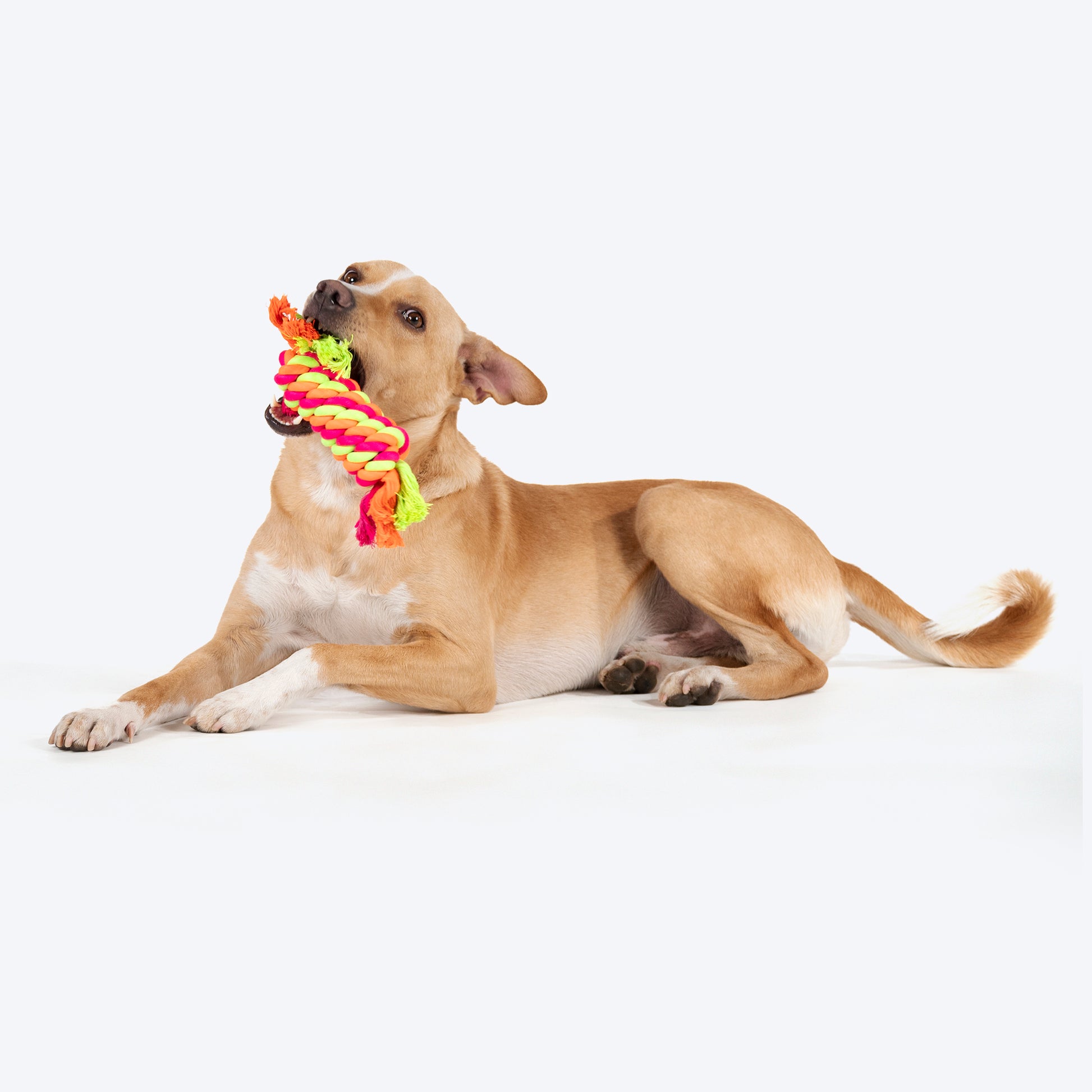 HUFT Tuggables Rope Toy For Dog - Multicolor - Heads Up For Tails