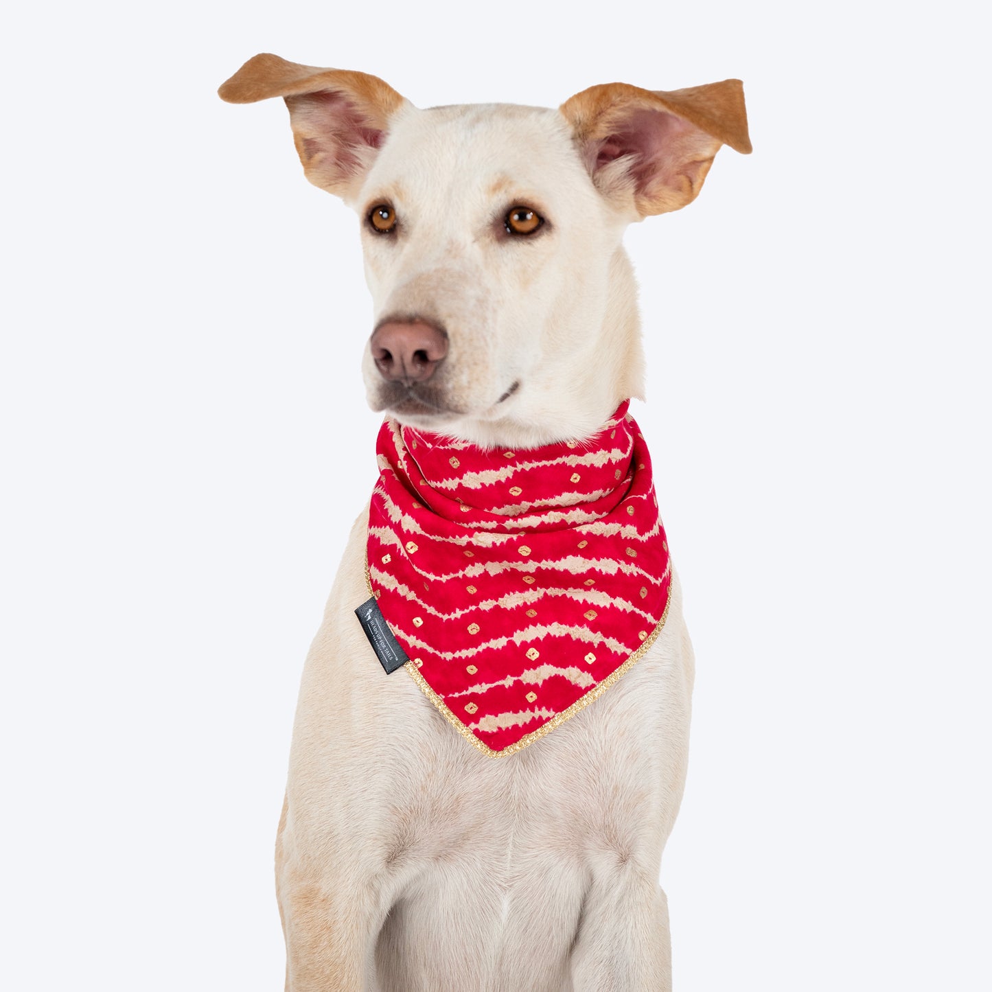 HUFT Leheriya Luxe Knot Bandana For Dog - Pink