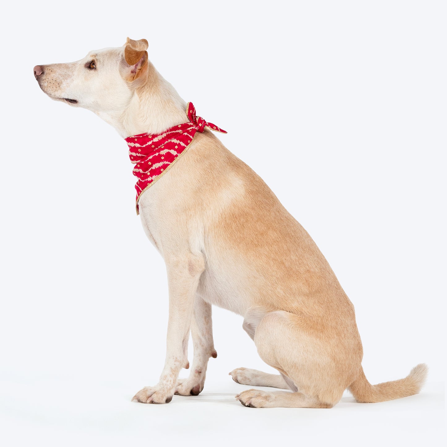 HUFT Leheriya Luxe Knot Bandana For Dog - Pink