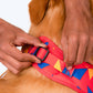 HUFT Crimson Thrill Dog Adjustable Harness_07