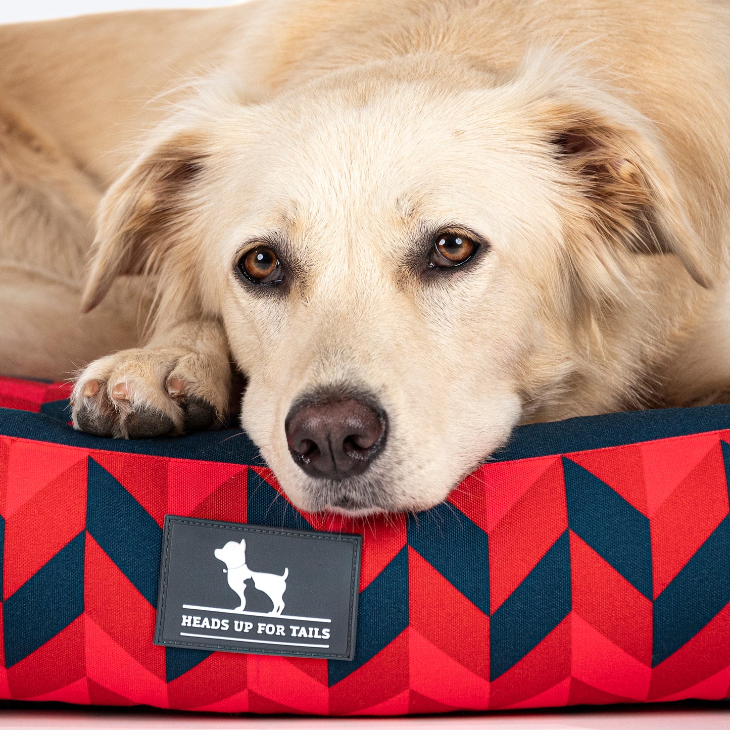 HUFT Geometric Groove Lounger Dog Bed - Red & Blue