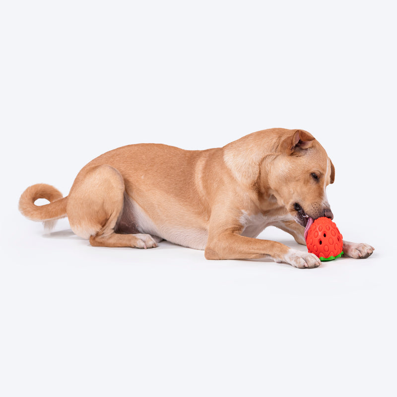HUFT Berry Chew Toy For Dog - Red & Green - Heads Up For Tails
