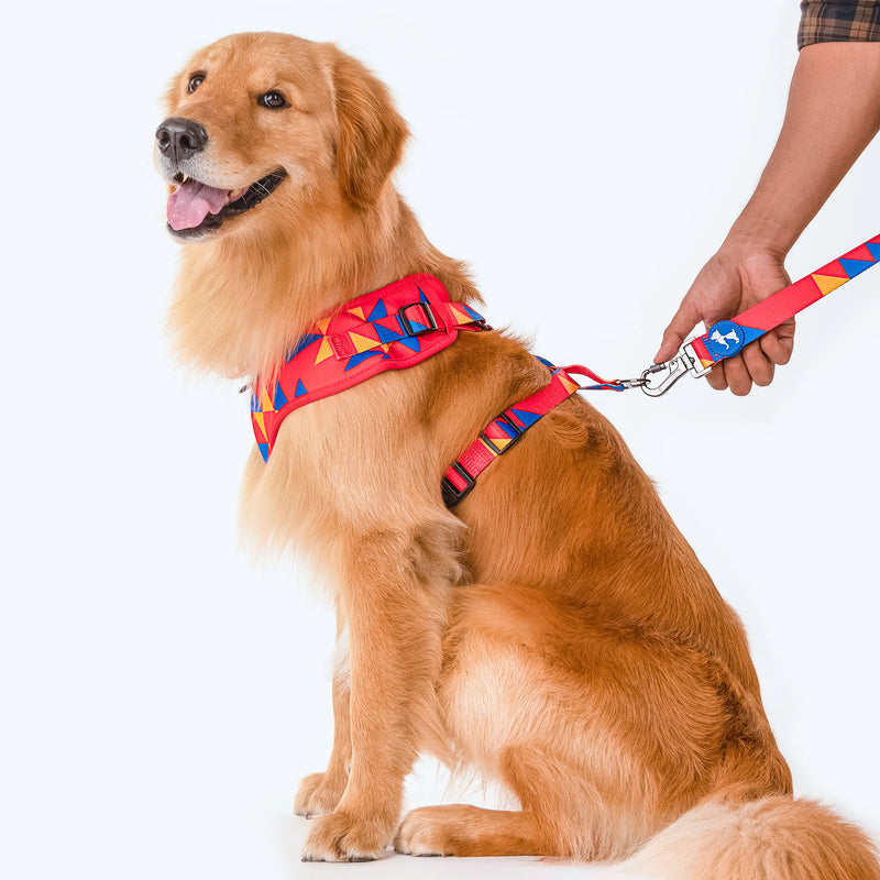 HUFT Crimson Thrill Printed Dog Leash - Heads Up For Tails