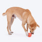 HUFT Rollie Chew Toy For Dog - Orange & Pink