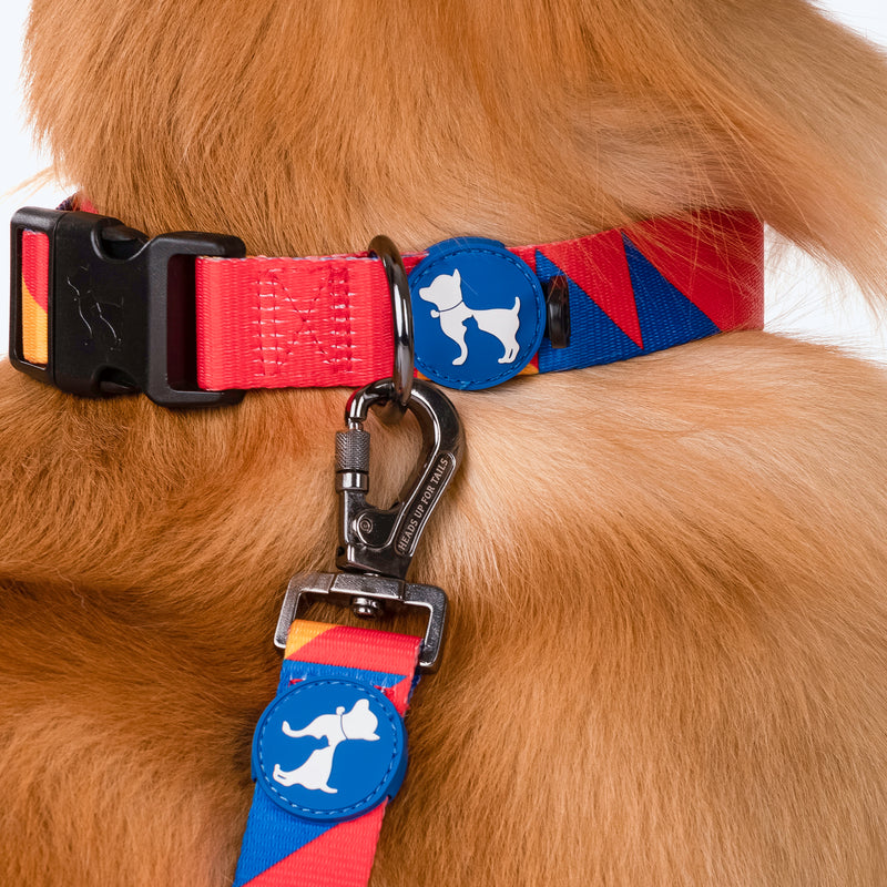 HUFT Crimson Thrill Printed Dog Leash - Heads Up For Tails
