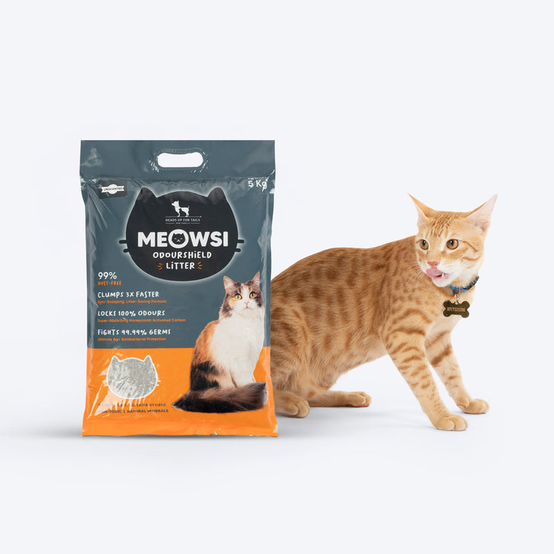 Meowsi by HUFT OdourShield Cat Litter, unscented, 5 kg, 99% dust-free, clumps 3x faster, antibacterial protection.