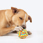 HUFT Tuggables Ball Rope Toy For Dog - Multicolor - Heads Up For Tails