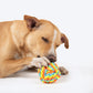 HUFT Tuggable Trio Rope Toy Combo For Dog - Heads Up For Tails