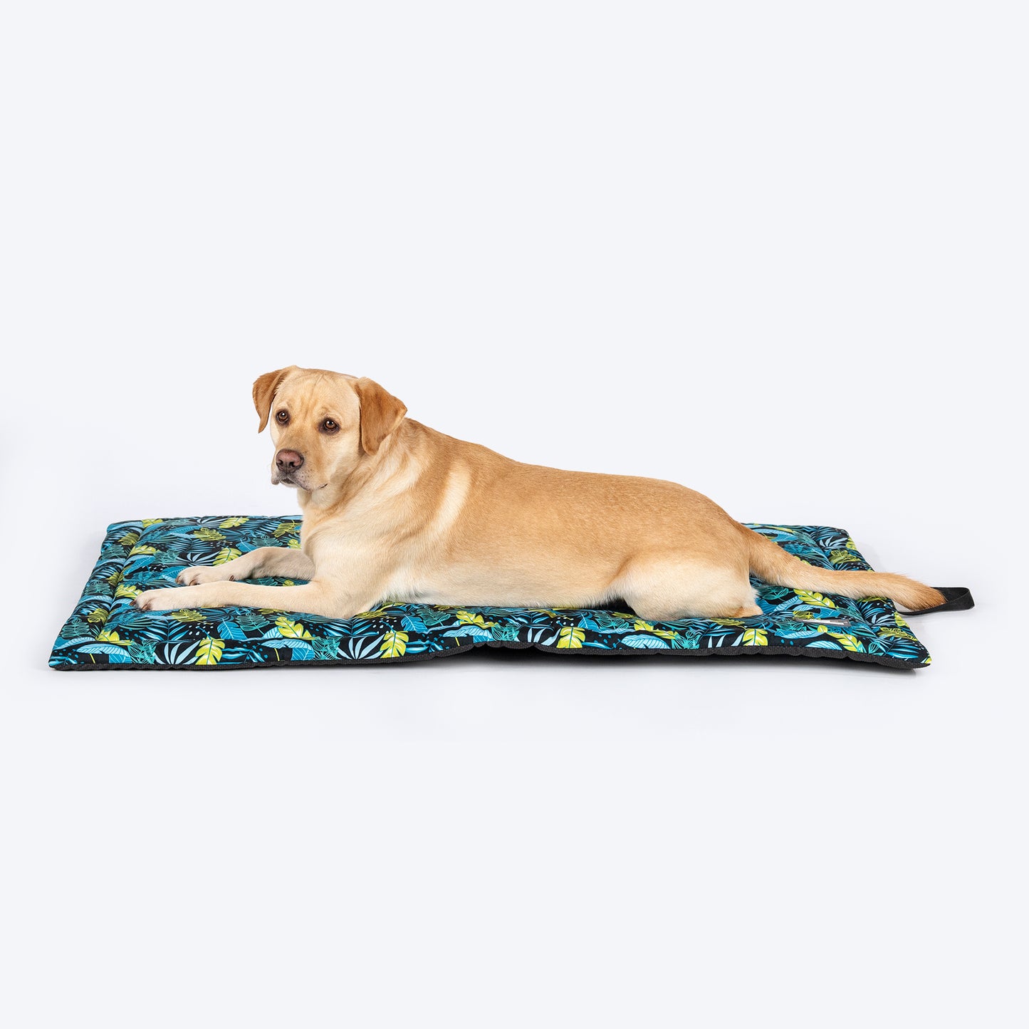 HUFT Luminous Leaves Mat Dog & Cat - Navy