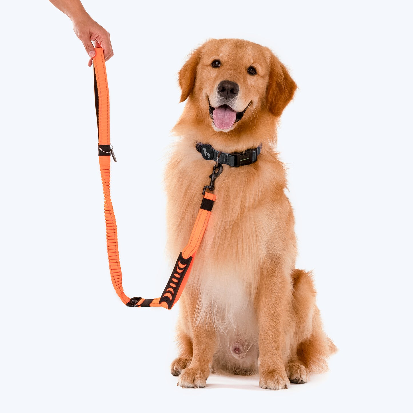 HUFT Shock Absorption Dog Leash - Orange - Heads Up For Tails