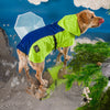 HUFT Neon Shower Dog Raincoat - Neon Green & Deep Blue - Heads Up For Tails