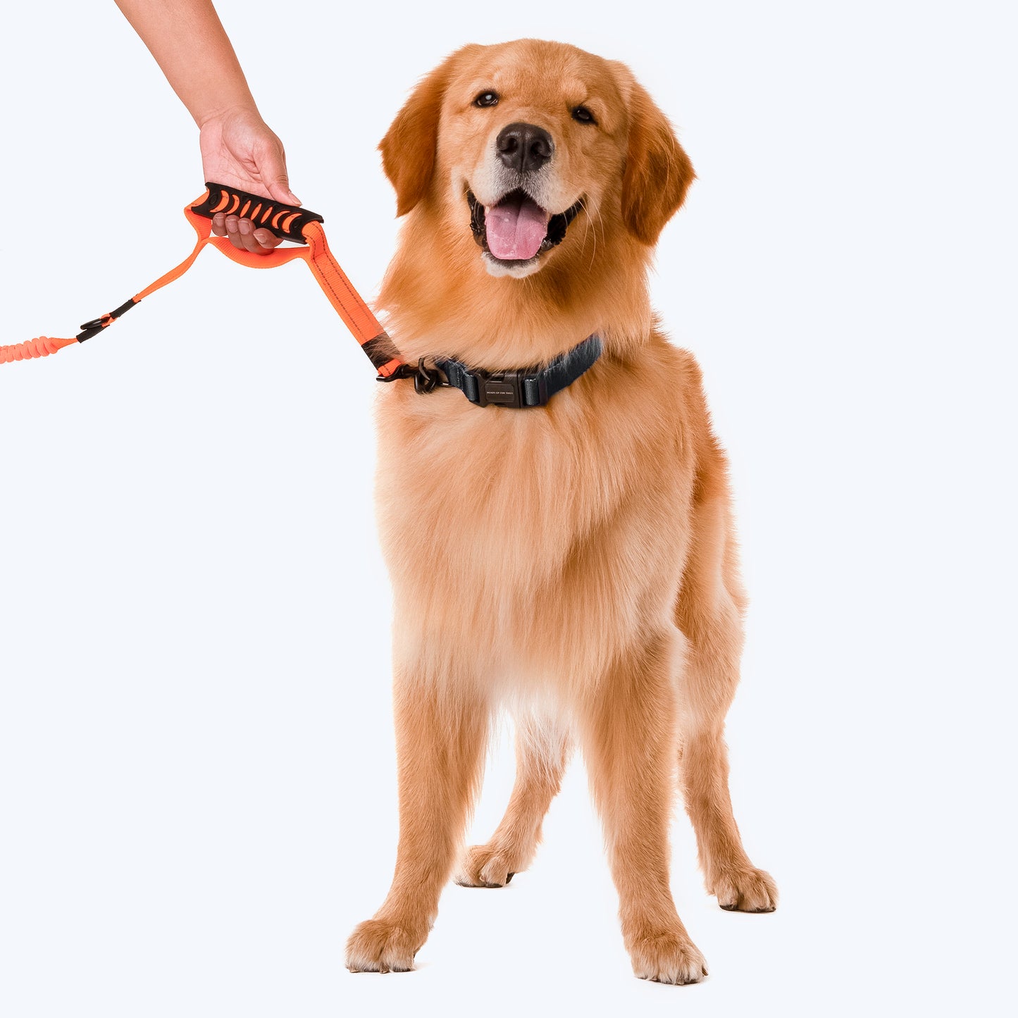 HUFT Shock Absorption Dog Leash - Orange - Heads Up For Tails