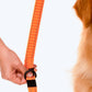 HUFT Shock Absorption Dog Leash - Orange - Heads Up For Tails