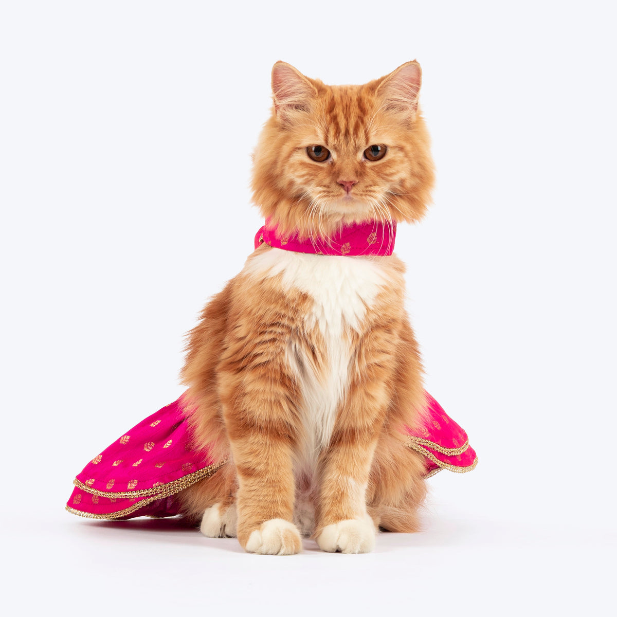 HUFT Rani Royale Dress For Cat - Pink