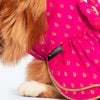 HUFT Rani Royale Dress For Cat - Pink