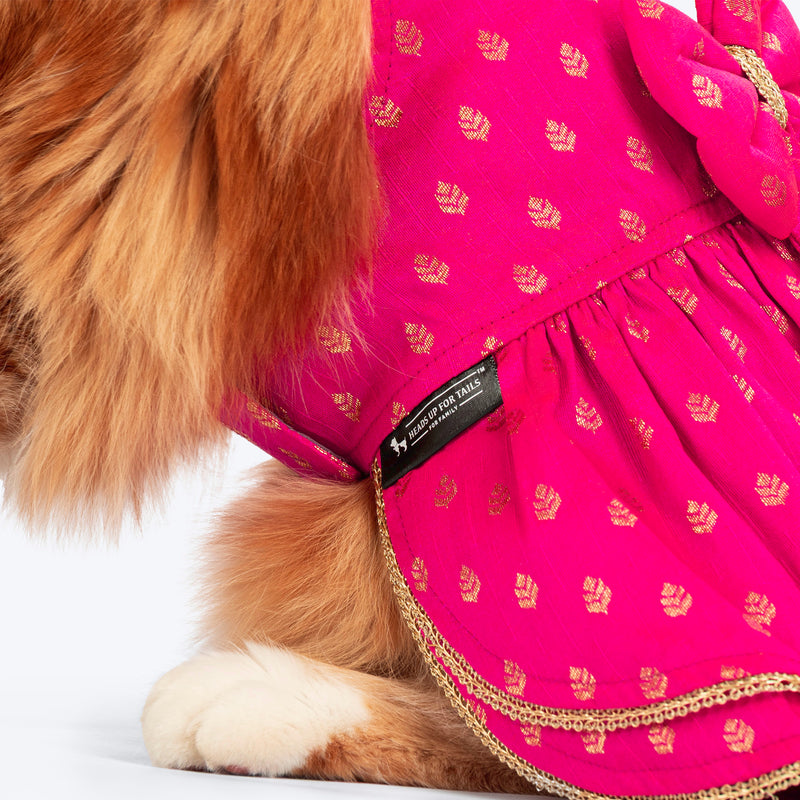 HUFT Rani Royale Dress For Cat - Pink