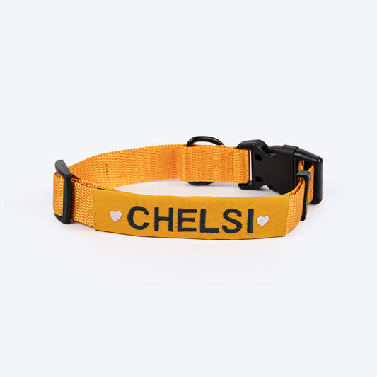 HUFT Personalised Basics Dog Collar - Yellow - Heads Up For Tails