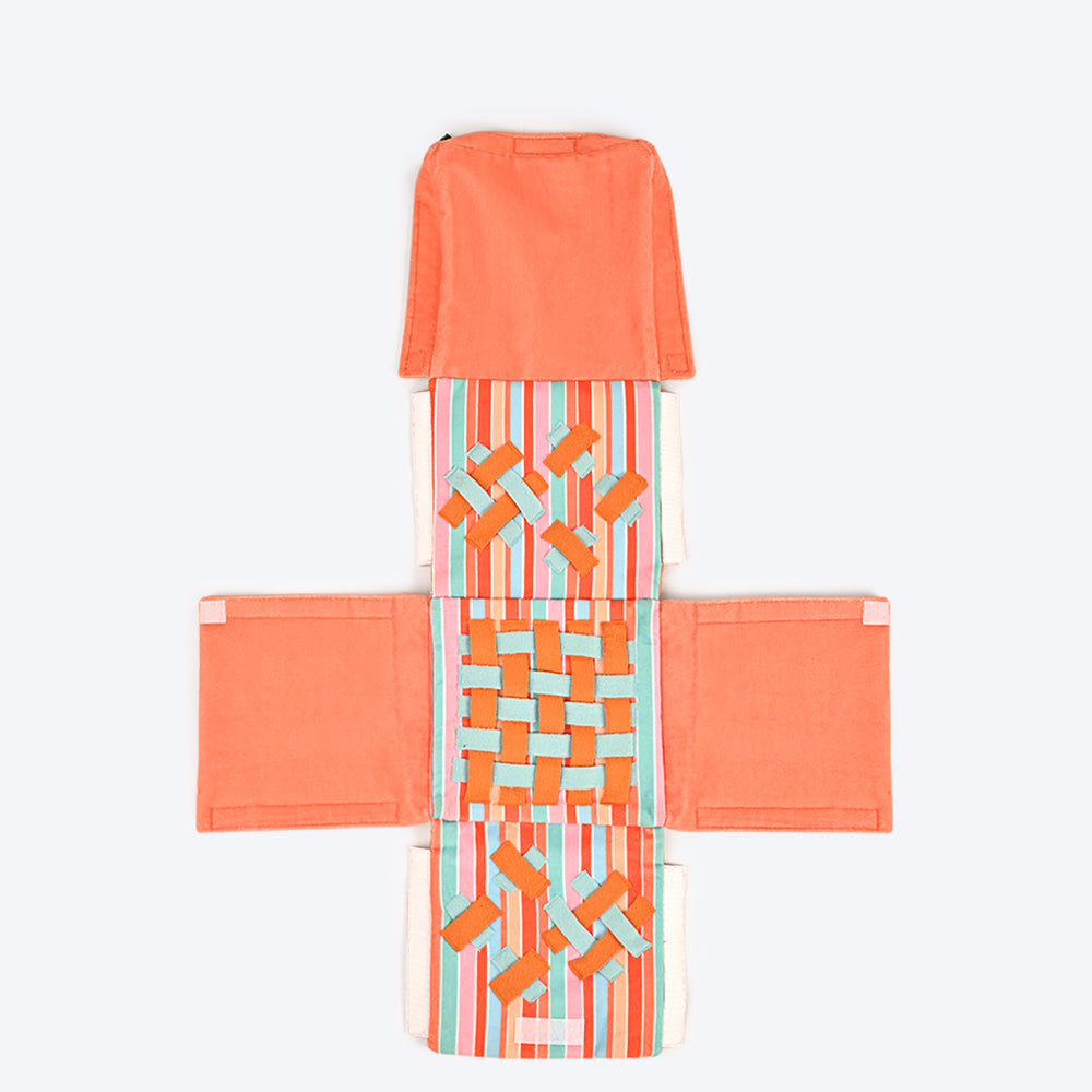 HUFT Birthday Box Combo For Dogs - Heads Up For Tails