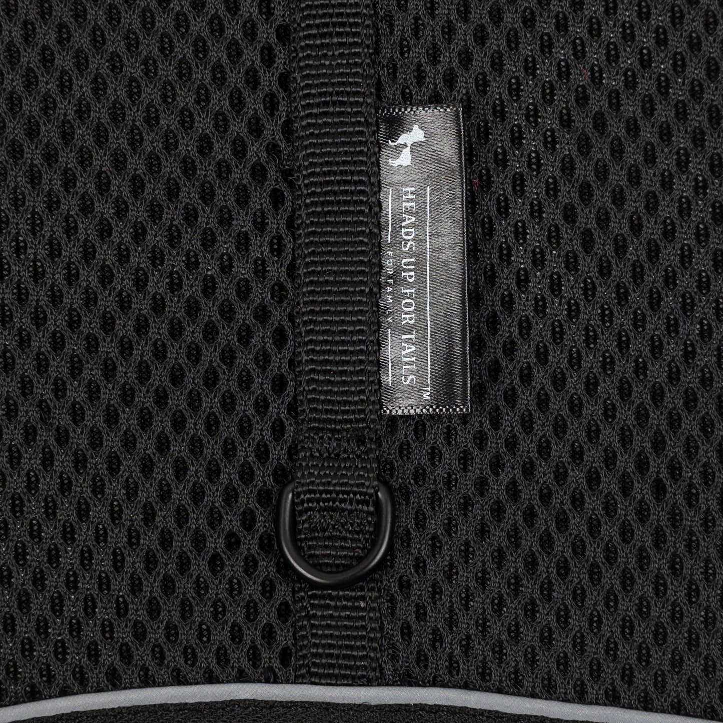 HUFT Essential Harness & Leash Set For Cat - Black