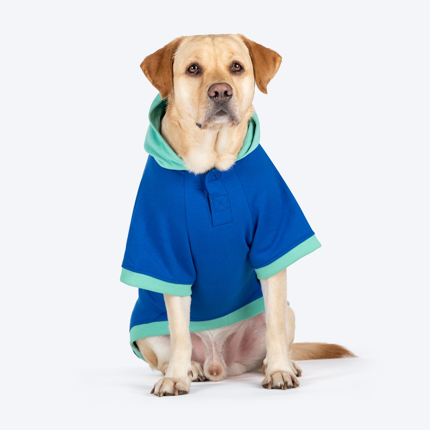 HUFT Spoilt Sweet Colour Block Hoodie Pet Sweatshirt - Navy Blue