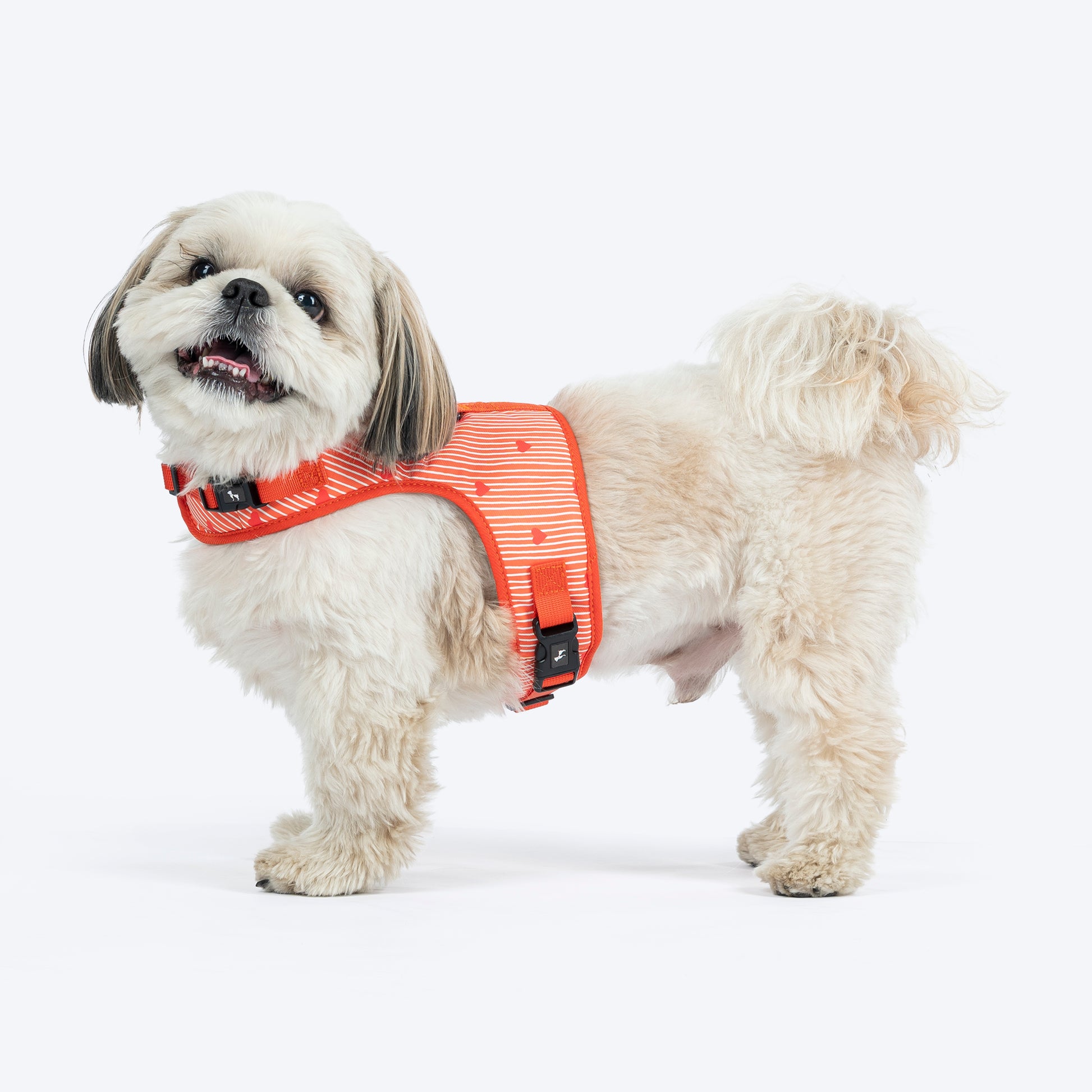 HUFT Slip & Stroll Harness & Leash Set For Dog - Red Romance - Heads Up For Tails