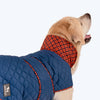 HUFT Grrberry Quilted Dog Jacket - Teal Blue - Heads Up For Tails