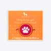 HUFT Furry Ties Dog Rakhi - Pink - Heads Up For Tails