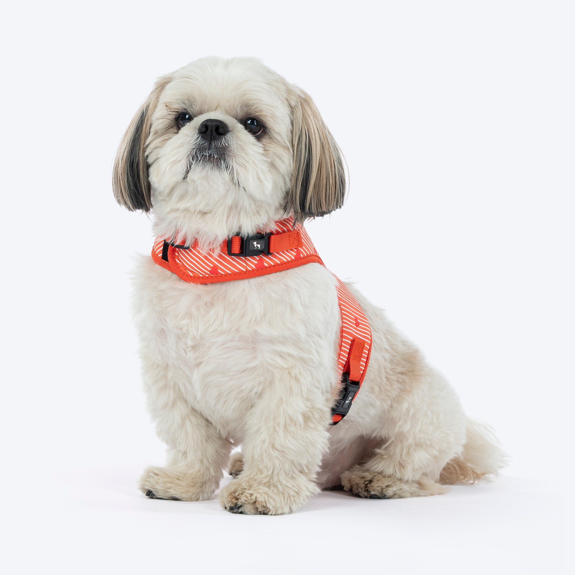 HUFT Slip & Stroll Harness & Leash Set For Dog - Red Romance - Heads Up For Tails