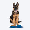 Dash Dog Travel Foldable Double Diner For Dog - Blue - Heads Up For Tails