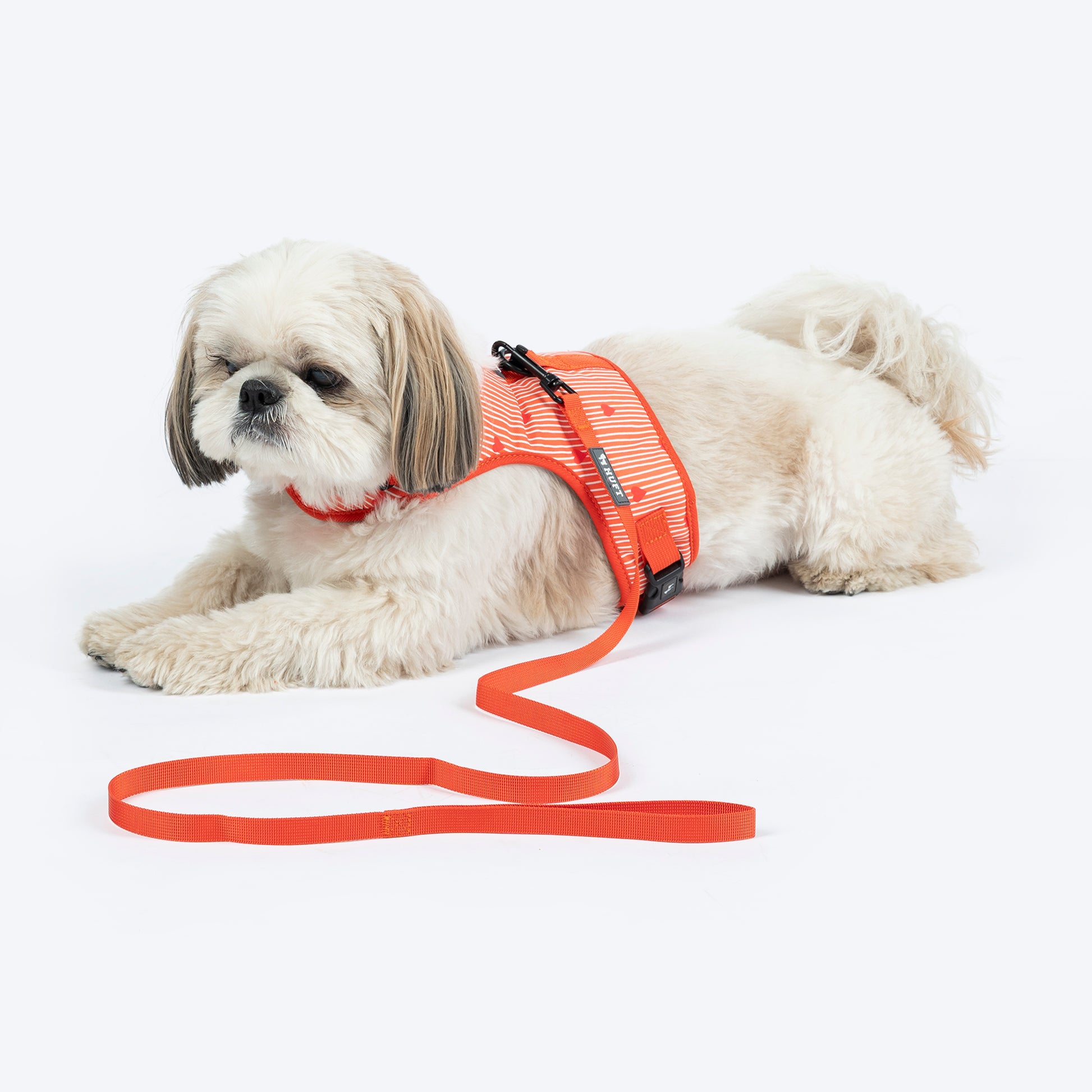 HUFT Slip & Stroll Harness & Leash Set For Dog - Red Romance - Heads Up For Tails