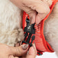 HUFT Slip & Stroll Harness & Leash Set For Dog - Red Romance - Heads Up For Tails