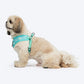 HUFT Free Flow Step-In Harness and Leash Set For Dog - Mint Sky - Heads Up For Tails