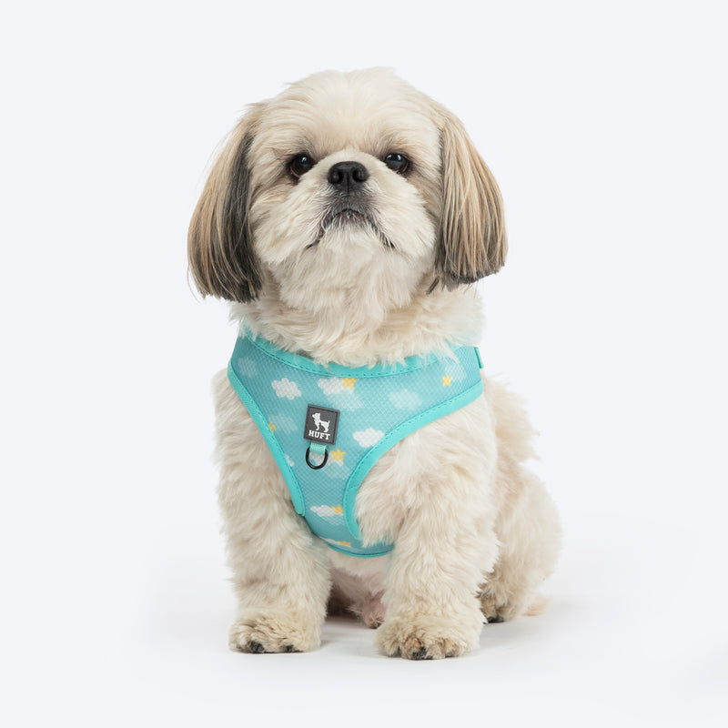 HUFT Free Flow Step-In Harness and Leash Set For Dog - Mint Sky - Heads Up For Tails