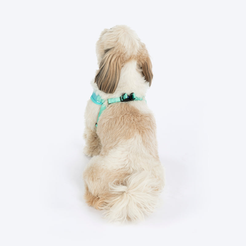 HUFT Free Flow Step-In Harness and Leash Set For Dog - Mint Sky - Heads Up For Tails
