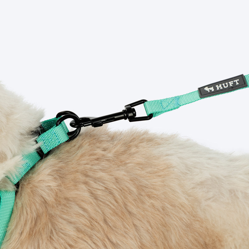 HUFT Free Flow Step-In Harness and Leash Set For Dog - Mint Sky - Heads Up For Tails