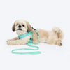 HUFT Free Flow Step-In Harness and Leash Set For Dog - Mint Sky - Heads Up For Tails