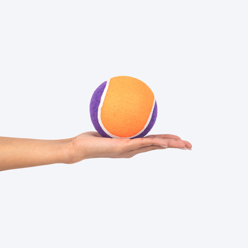HUFT Fetch Play Pack Tennis Ball For Dog - Orange & Purple - Heads Up For Tails