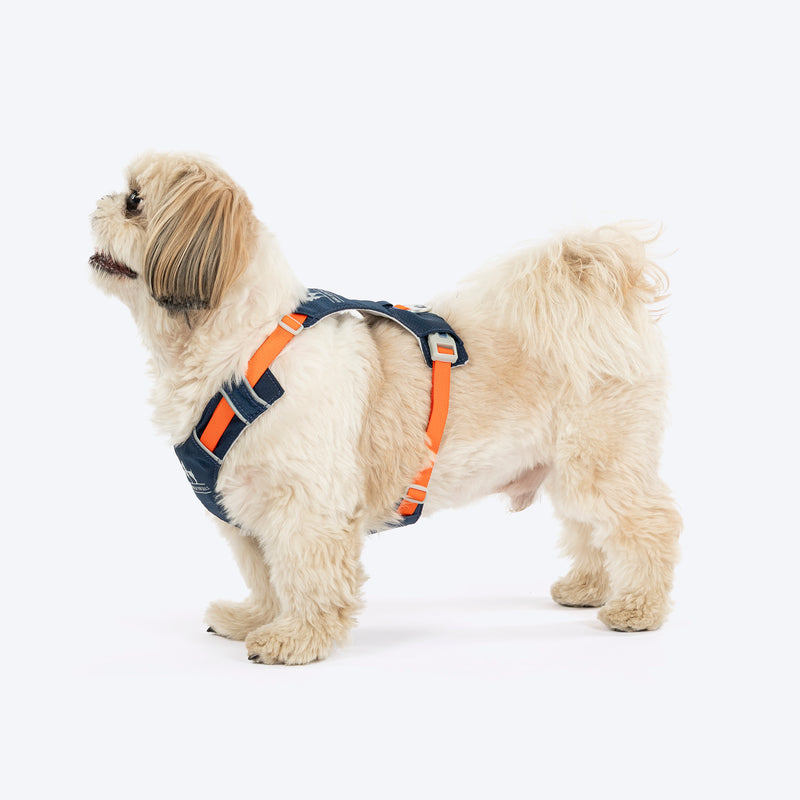 HUFT Walkmate Harness For Dog - Navy - Heads Up For Tails