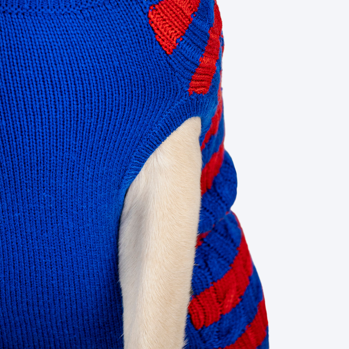 HUFT Snug Stripes Sweater For Dog - Blue & Red - Heads Up For Tails