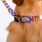 HUFT Sunny Stride Printed Dog Collar - Heads Up For Tails