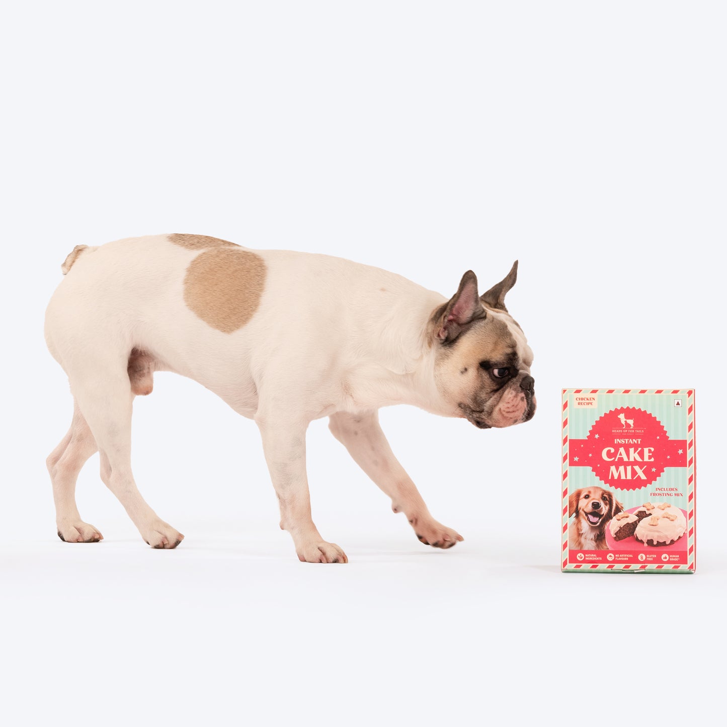 HUFT Instant Cake Mix for Dogs - 190 g - Heads Up For Tails