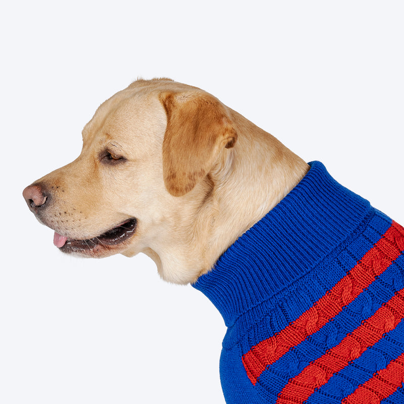 HUFT Snug Stripes Sweater For Dog - Blue & Red - Heads Up For Tails