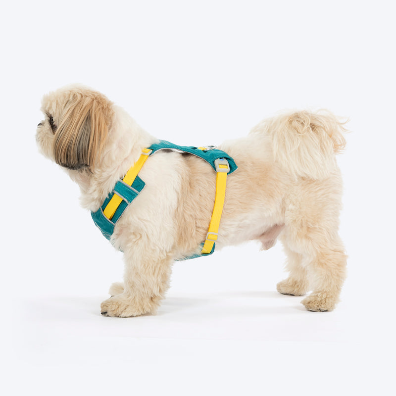 HUFT Walkmate Harness For Dog - Teal Green - Heads Up For Tails