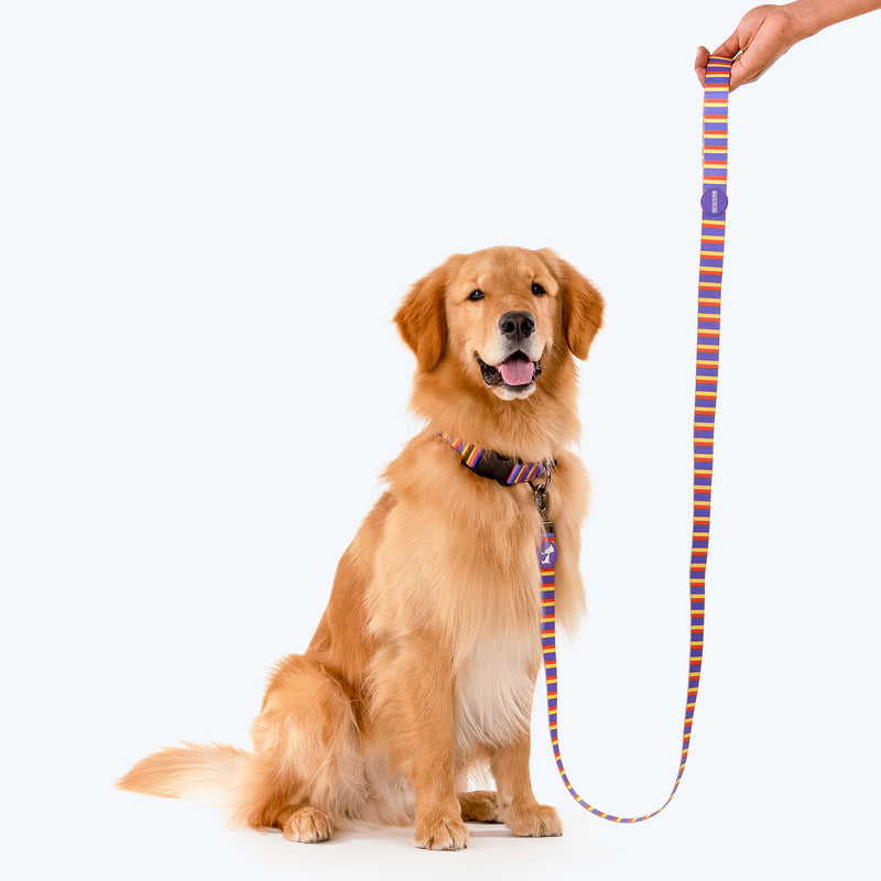 HUFT Sunny Stride Printed Dog Leash - Heads Up For Tails