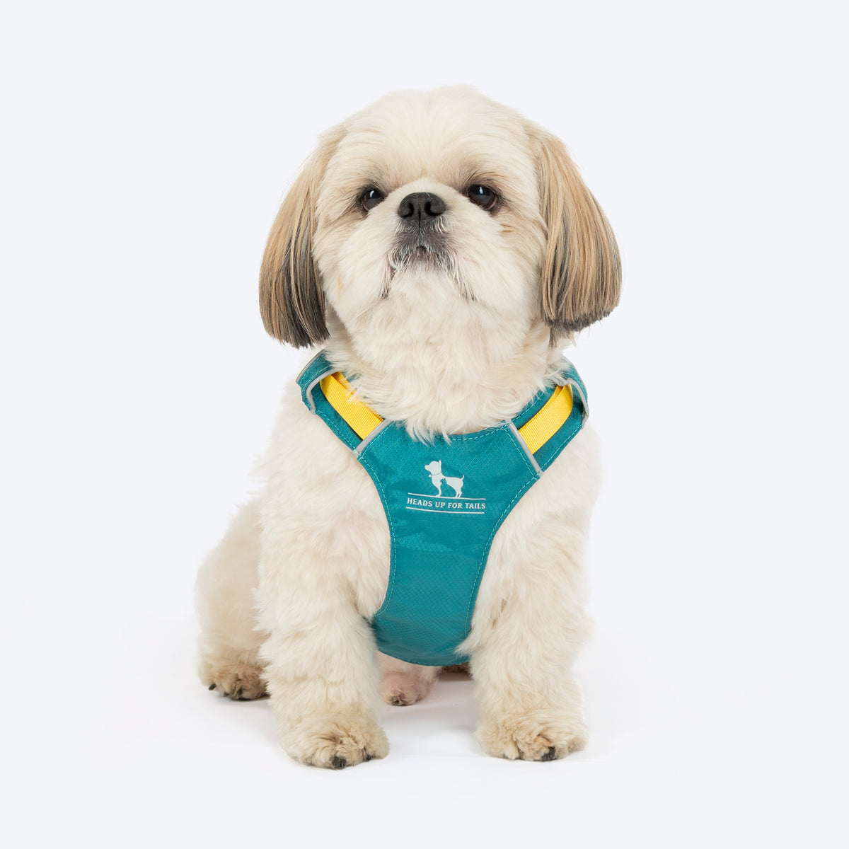 HUFT Walkmate Harness For Dog - Teal Green - Heads Up For Tails