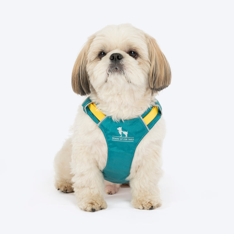 HUFT Walkmate Harness For Dog - Teal Green - Heads Up For Tails